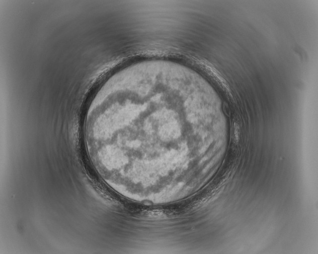 X0000111040588200907161346