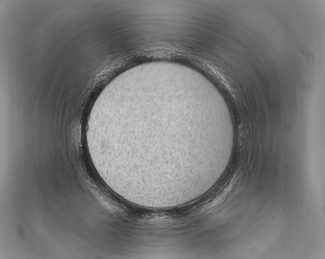 X0000111040589200907161346