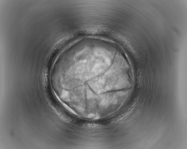 X0000111040590200907161346