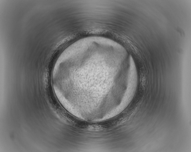 X0000111040591200907161346