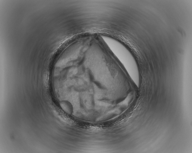 X0000111040592200907161346