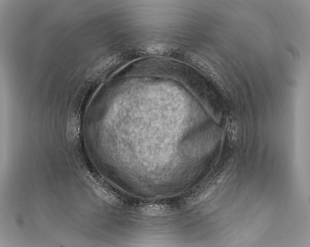 X0000111040593200907161346