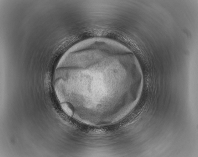 X0000111040594200907161346