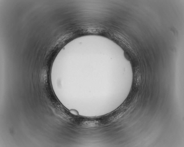 X0000111040595200907161346