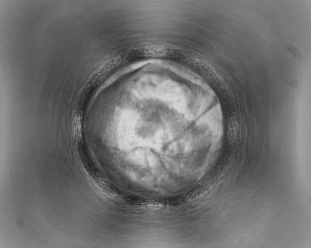 X0000111040598200907161346