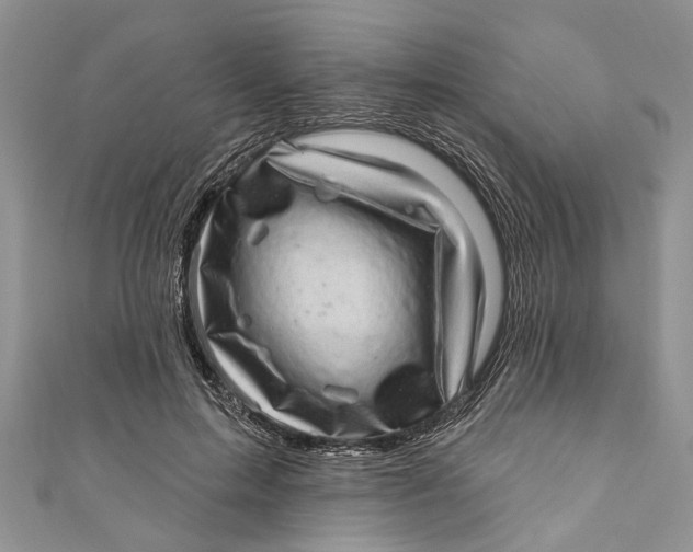 X0000111040599200907161346