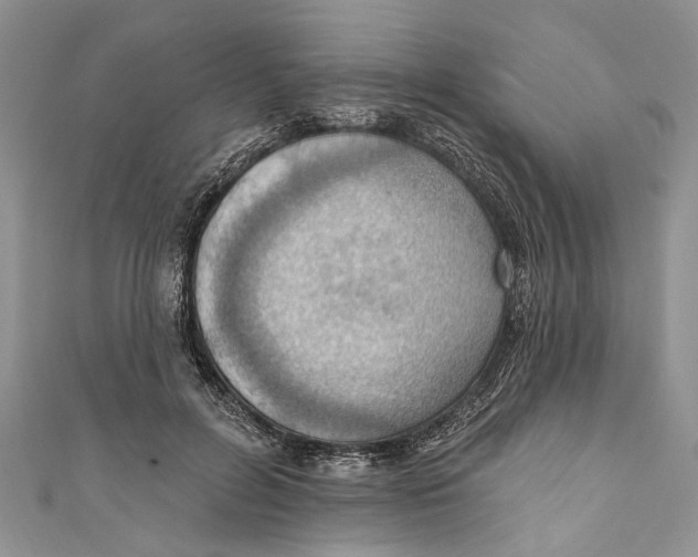 X0000111040600200907161346