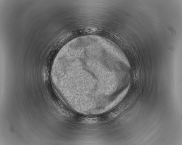 X0000111040606200907161346