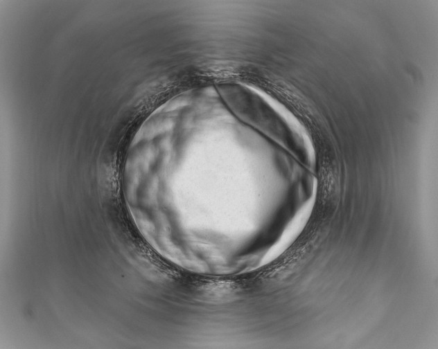 X0000111040609200907161346