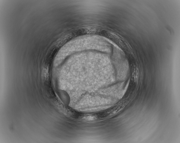 X0000111040610200907161346