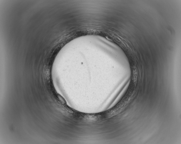 X0000111040613200907161346