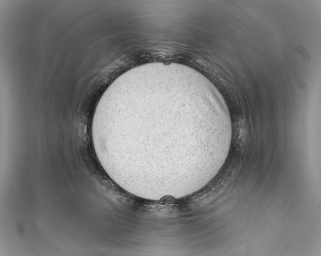 X0000111040615200907161346