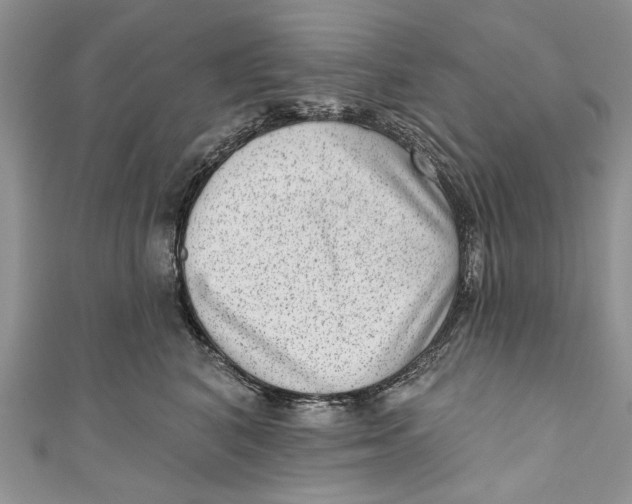 X0000111040616200907161346