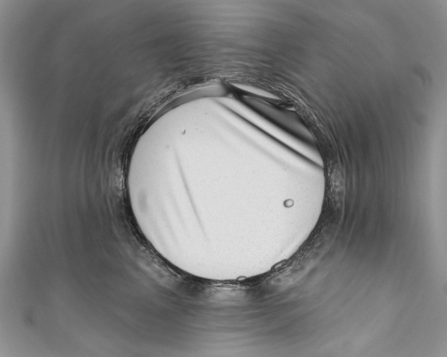 X0000111040617200907161346