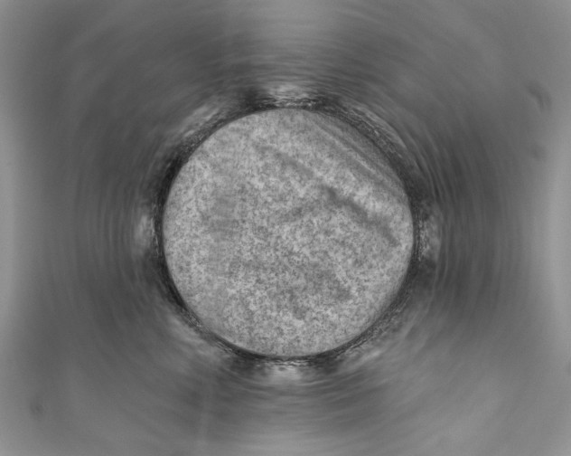 X0000111040618200907161346