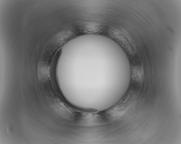 X0000111040621200907161346