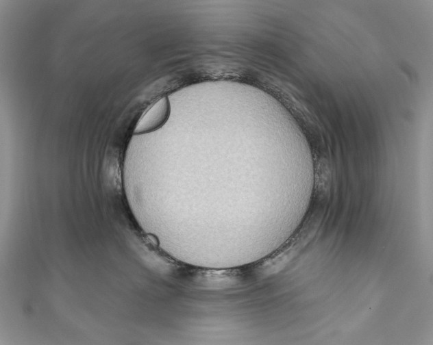 X0000111040622200907161346