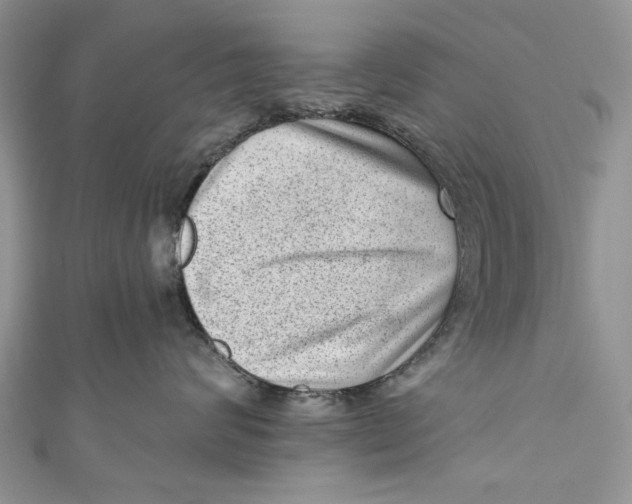 X0000111040624200907161346