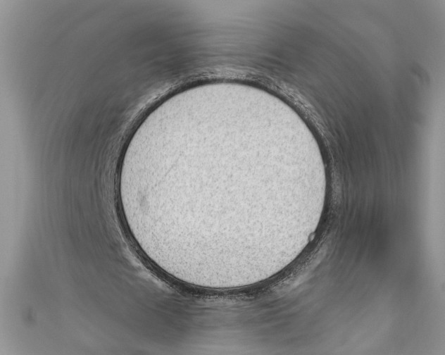 X0000111040625200907161345