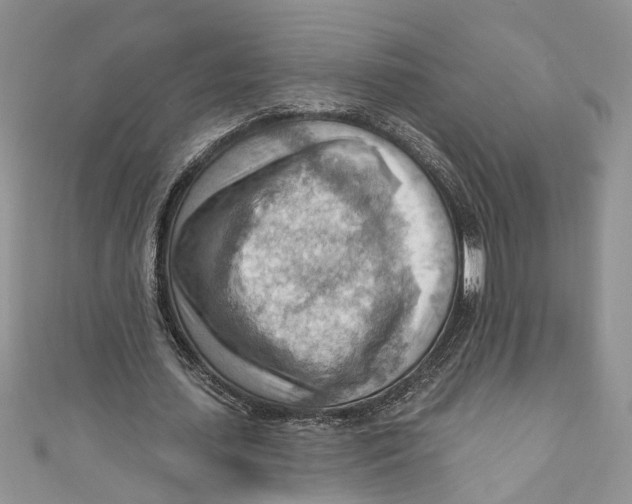 X0000111040627200907161345