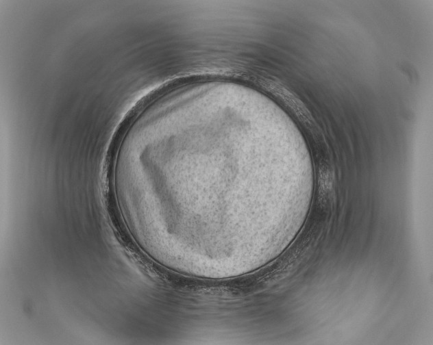 X0000111040628200907161345