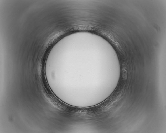 X0000111040631200907161345