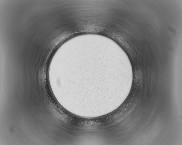 X0000111040632200907161345