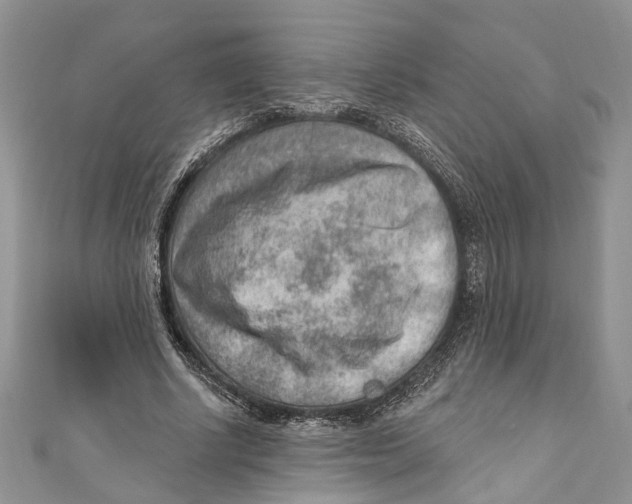 X0000111040634200907161345