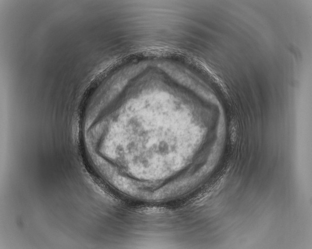 X0000111040637200907161345