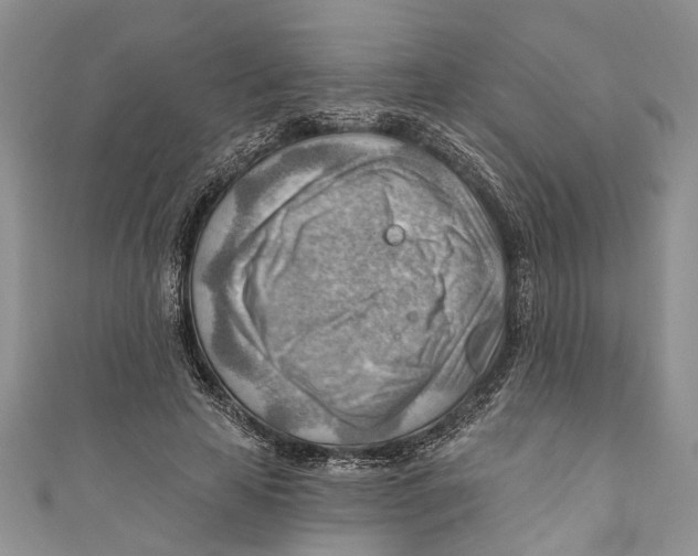 X0000111040641200907161345