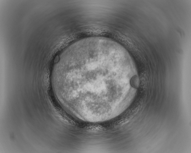 X0000111040642200907161345