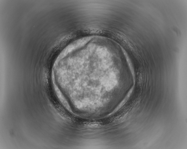 X0000111040643200907161345