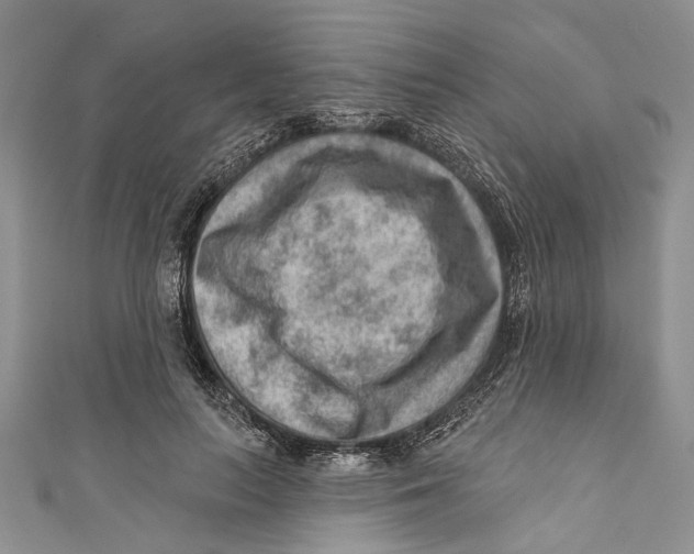 X0000111040647200907161345