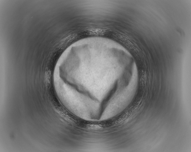 X0000111040649200907161345