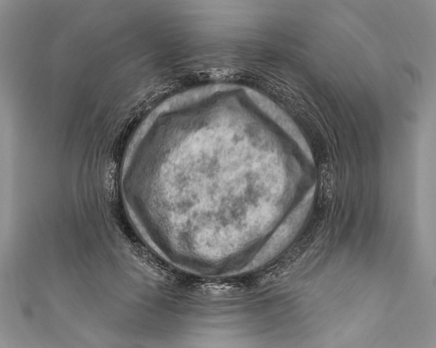 X0000111040650200907161345