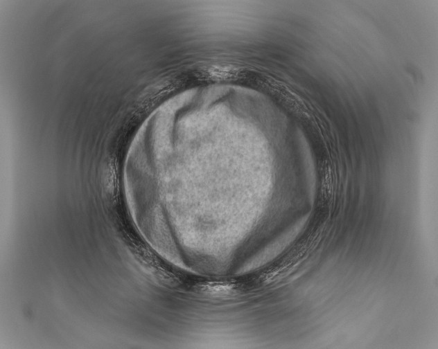 X0000111040651200907161345