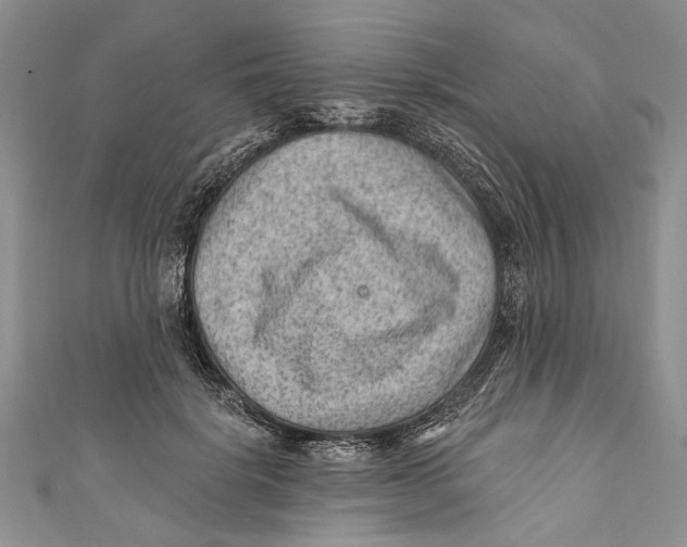 X0000111040652200907161345