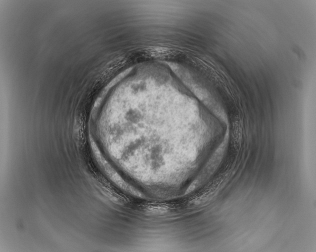 X0000111040653200907161345