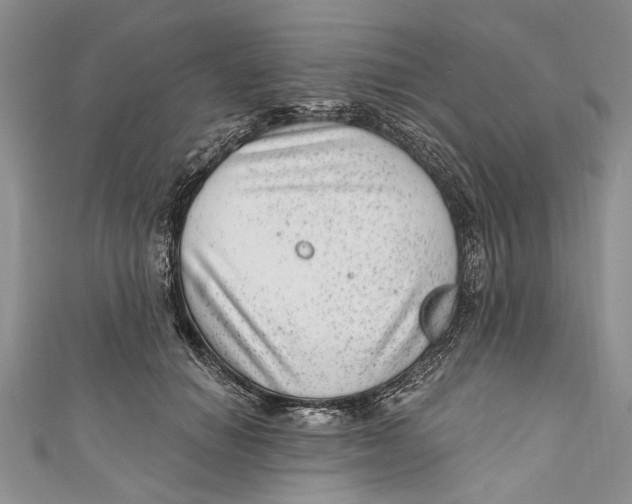 X0000111040654200907161345