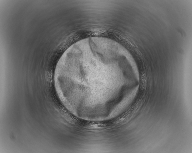 X0000111040657200907161345