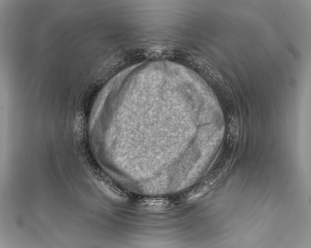 X0000111040659200907161345