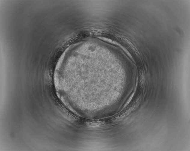 X0000111040661200907161345