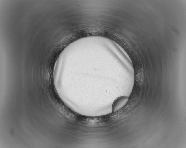 X0000111040662200907161345