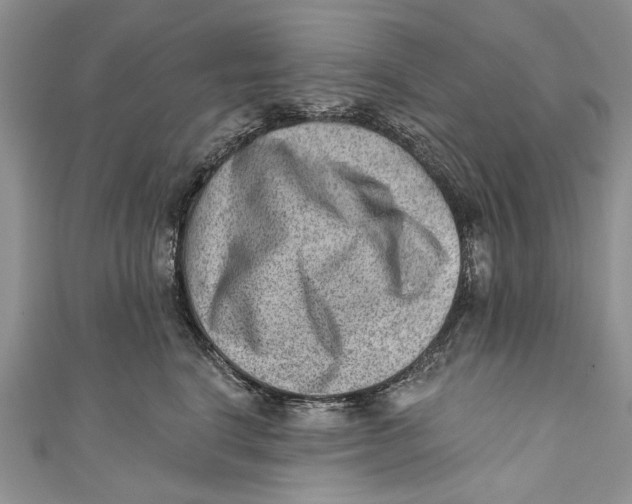 X0000111040664200907161345