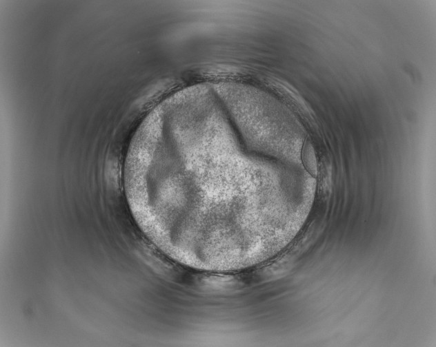 X0000111040669200907161346