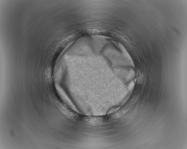 X0000111040670200907161346