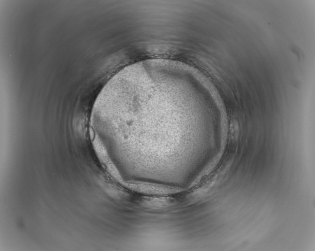 X0000111040671200907161346