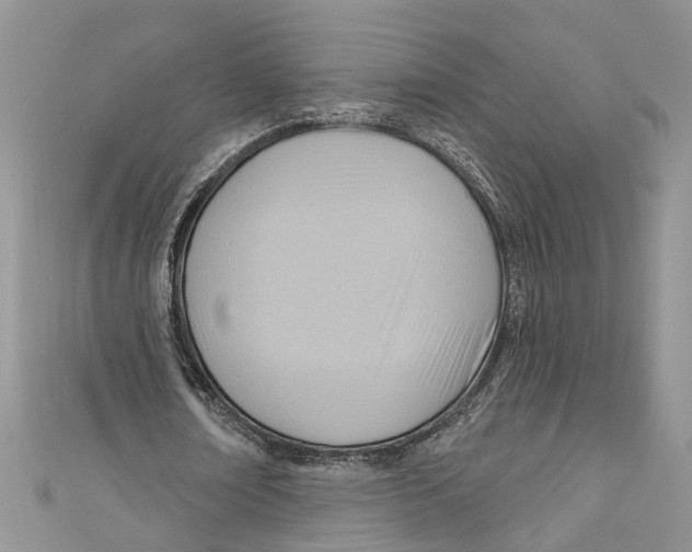 X0000111040674200907161345