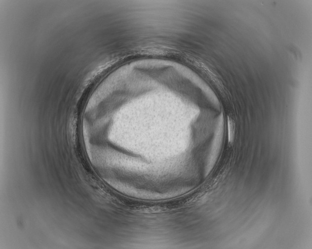 X0000111040675200907161345