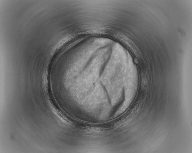 X0000111040677200907161345